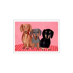 Sale Poster & Frame Dachshunds