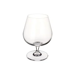 New Villeroy & Boch Entrée cognacglas 4 stk.