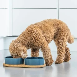 Discount DOG Copenhagen Kronborg Food Bar, petrol blue