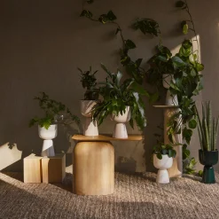 Iittala Botanik<Nappula urtepotte small, hvid white