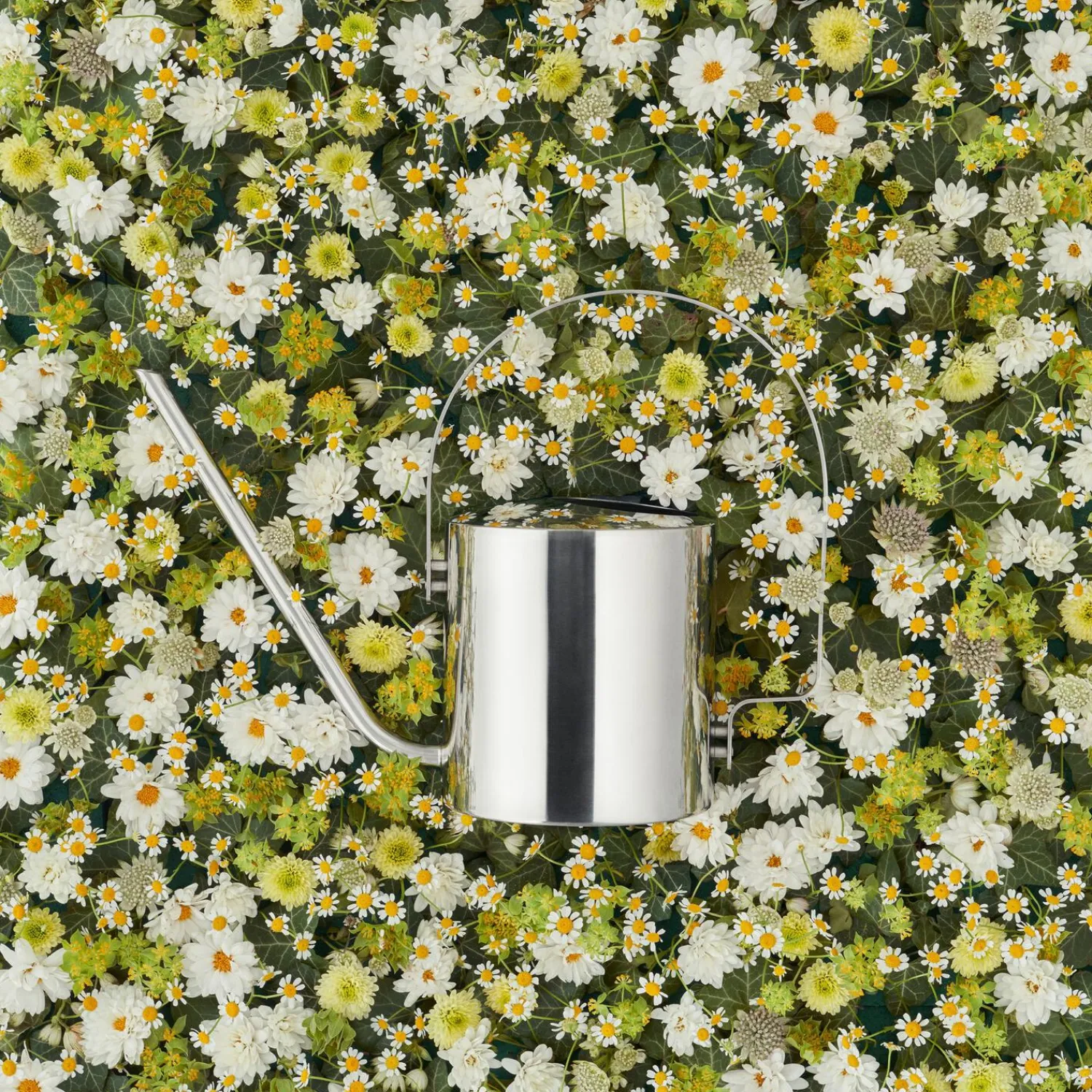 Stelton Botanik<Original blomstervandkande