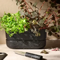 RIG-TIG Botanik<POT-IT urtekasse, black