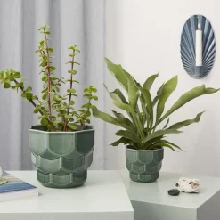 Dottir Nordic Design Botanik<Samsurium blomsterkrukke, spruce